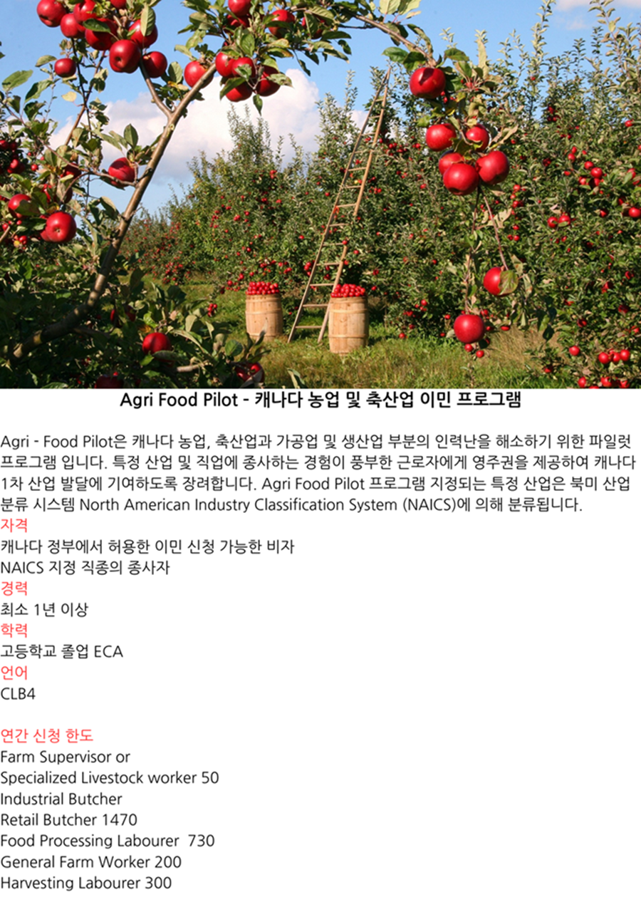 파일럿 이민 Agrifood 가로900.png